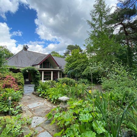 Lieshout Sjieke Gezellige Villa In Het Bos מראה חיצוני תמונה