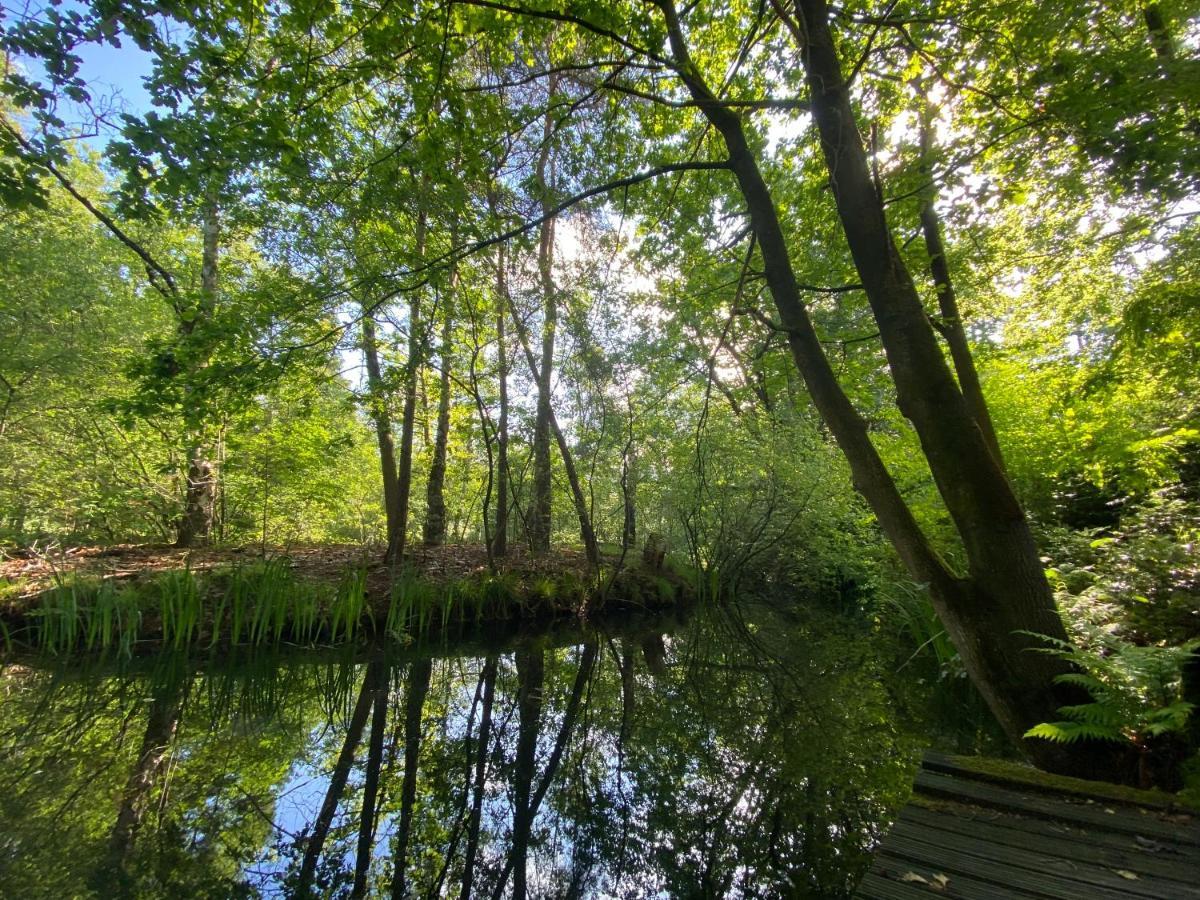 Lieshout Sjieke Gezellige Villa In Het Bos מראה חיצוני תמונה